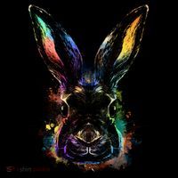 Colorful Rabbit Illustration T-Shirt