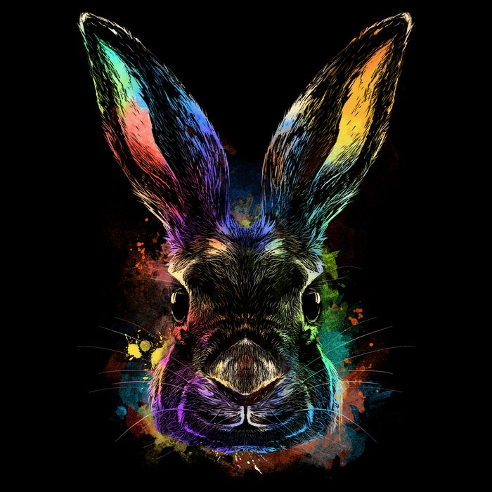 Colorful Rabbit Illustration Button
