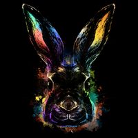 Colorful Rabbit Illustration Full Zip Hoodie