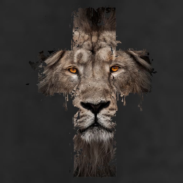 Christian Religious Jesus The Lion Of Judah Cross Retro Hat