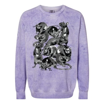 Creepy Rat King Wicca Witch Goth Rats Drawing Rodent Lovers Colorblast Crewneck Sweatshirt