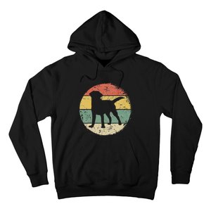 Circular Retro Labrador Owner Gift Golden Black Lab Dad Mom Hoodie