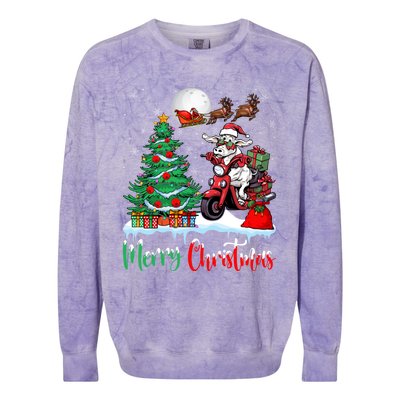 Cow Riding Motorcycle Santa Hat Xmas Merry Christmas Cow Gift Colorblast Crewneck Sweatshirt