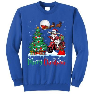 Cow Riding Motorcycle Santa Hat Xmas Merry Christmas Cow Gift Tall Sweatshirt