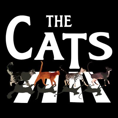 Cat Rock Music Funny Cat Lover Gifts T-Shirt