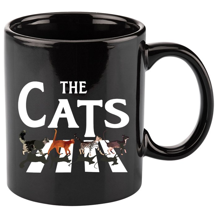 Cat Rock Music Funny Cat Lover Gifts 11oz C Handle Ceramic Mug