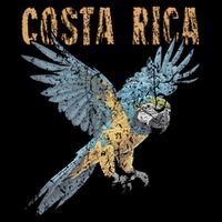 Costa Rica Macaw Pura Vida Animals Nature Pura Vida 16 in Basic Backpack