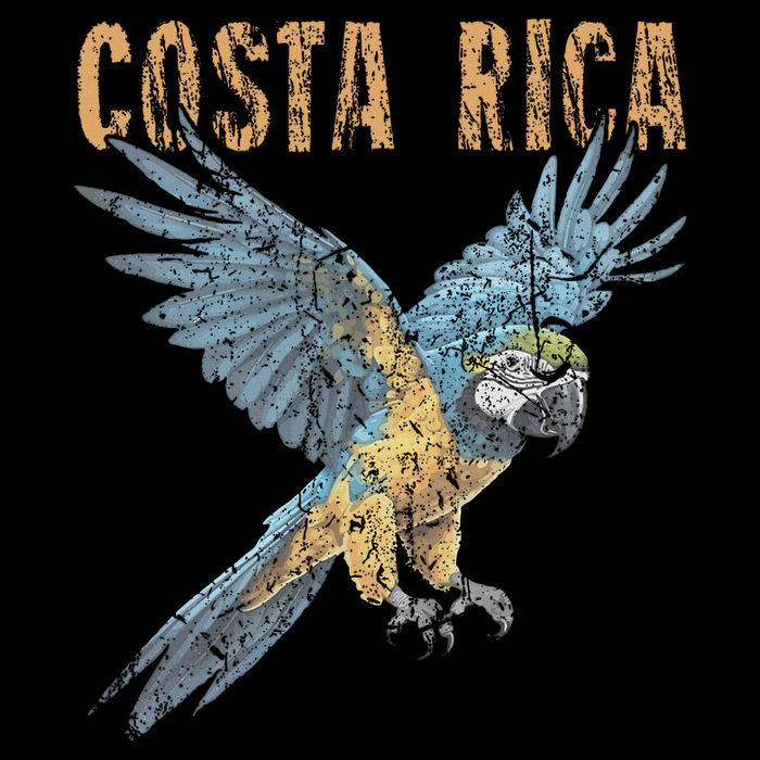 Costa Rica Macaw Pura Vida Animals Nature Pura Vida 16 in Basic Backpack