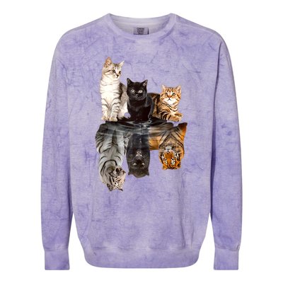 Cats Reflection Mirror Cheetah Iger Puma Cat & Animal Lover Raglan Baseball Colorblast Crewneck Sweatshirt