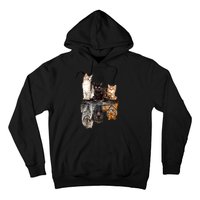 Cats Reflection Mirror Cheetah Iger Puma Cat & Animal Lover Raglan Baseball Hoodie