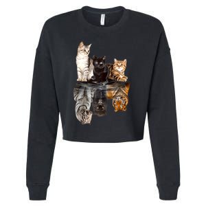 Cats Reflection Mirror Cheetah Iger Puma Cat & Animal Lover Raglan Baseball Cropped Pullover Crew