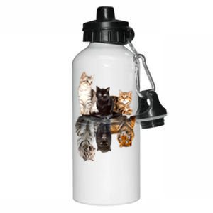 Cats Reflection Mirror Cheetah Iger Puma Cat & Animal Lover Raglan Baseball Aluminum Water Bottle