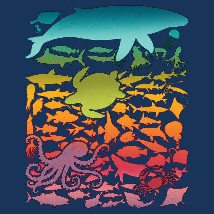 Cool Rainbow Ocean Sea Life 16 in Basic Backpack