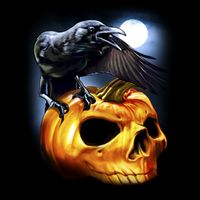 Crow Pumpkin Skull Halloween T-Shirt