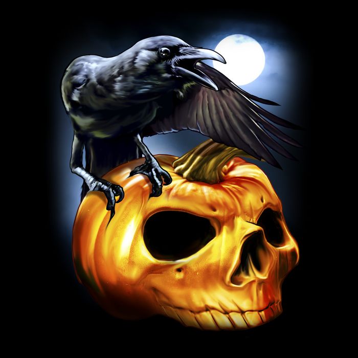 Crow Pumpkin Skull Halloween T-Shirt