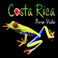 Costa Rica Pura Vida Travel Souvenir Vacation Frog Nature Womens T-Shirt