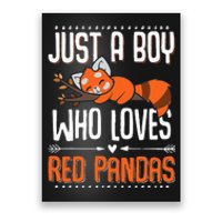 Cute Red Panda Red Panda Poster