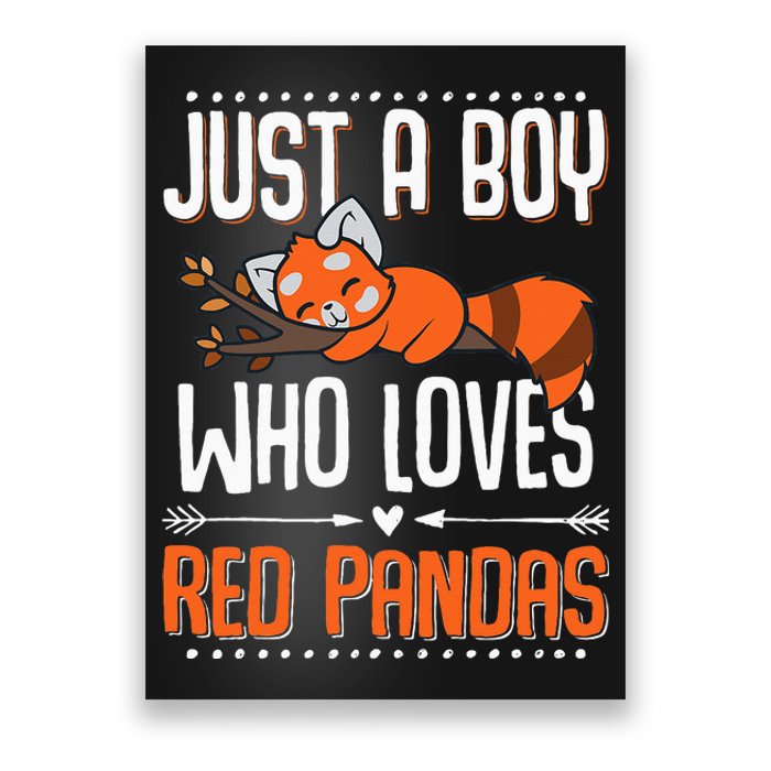 Cute Red Panda Red Panda Poster