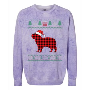 Capybara Red Plaid Ugly Christmas Sweater Matching Pajamas Colorblast Crewneck Sweatshirt