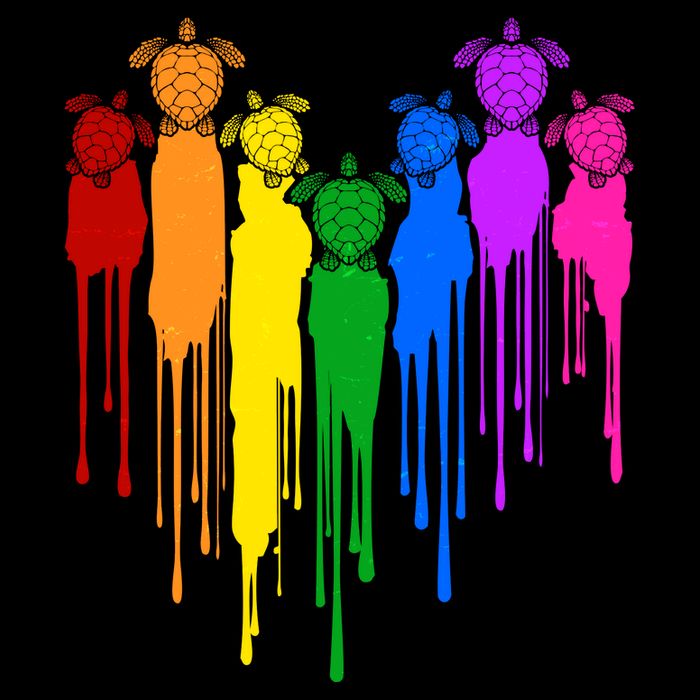 Cute Rainbow Painted Turtles Heart Hoodie