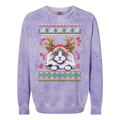 Cute Reindeer Ragdoll Cat Xmas Lights Ugly Christmas Cute Gift Colorblast Crewneck Sweatshirt