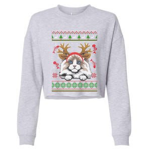 Cute Reindeer Ragdoll Cat Xmas Lights Ugly Christmas Sweater Cute Gift Cropped Pullover Crew