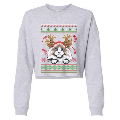 Cute Reindeer Ragdoll Cat Xmas Lights Ugly Christmas Sweater Cute Gift Cropped Pullover Crew