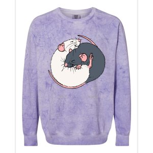 Cuddling Rats Russian Blue And White Colorblast Crewneck Sweatshirt