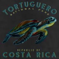 Costa Rica Sea Turtle 7 Panel Mesh Trucker Snapback Hat