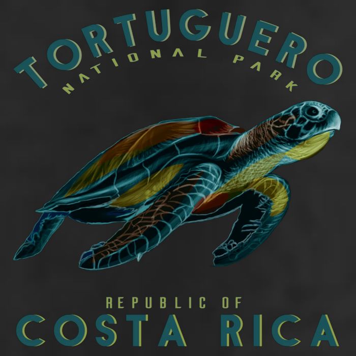 Costa Rica Sea Turtle 7 Panel Mesh Trucker Snapback Hat