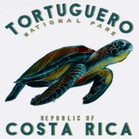 Costa Rica Sea Turtle Kids Hoodie