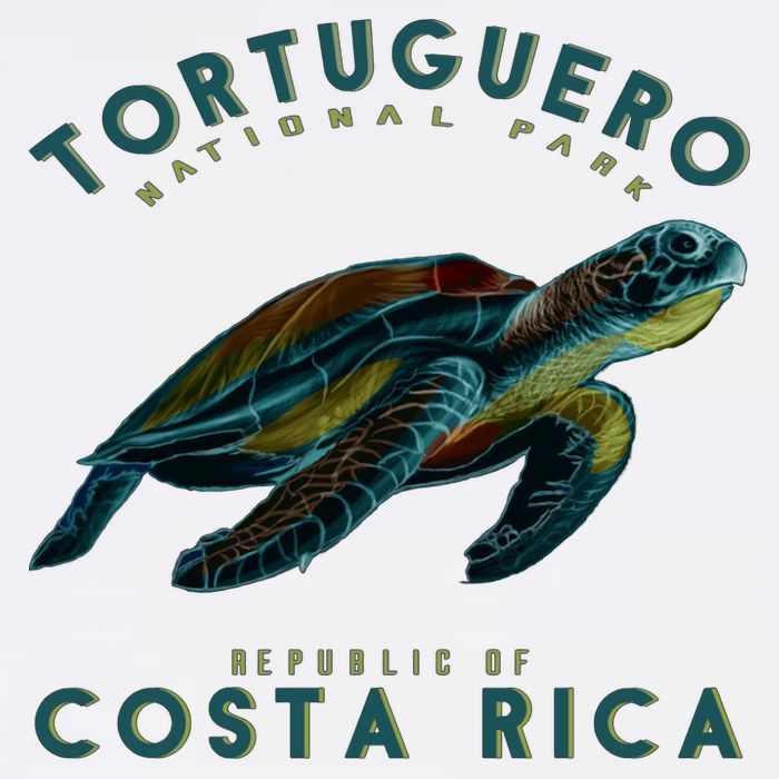 Costa Rica Sea Turtle Kids Hoodie
