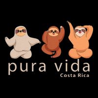 Costa Rica Sloth Backpack