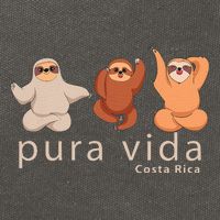 Costa Rica Sloth Cotton Canvas Backpack
