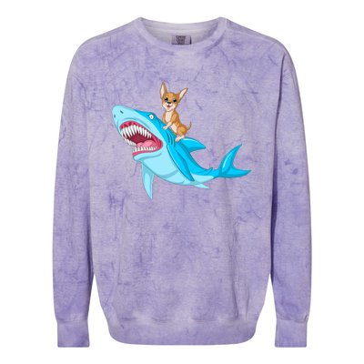 Chihuahua Riding Shark Colorblast Crewneck Sweatshirt