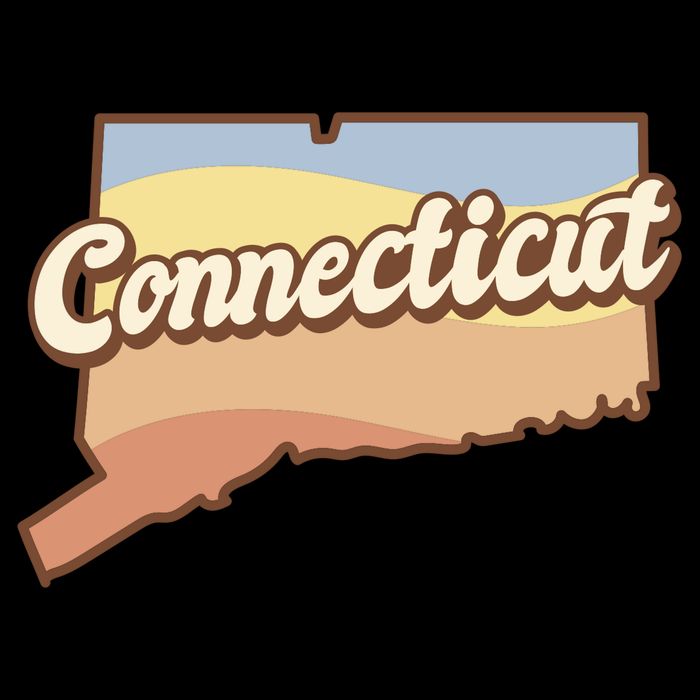 Connecticut Retro Sunset Logo Womens T-Shirt
