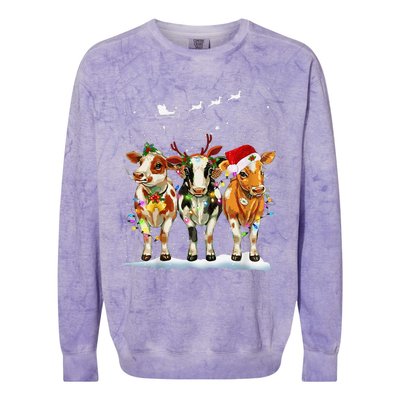 Cow Reindeer Santa Hat Christmas Light Funny Cows Lover Xmas Colorblast Crewneck Sweatshirt