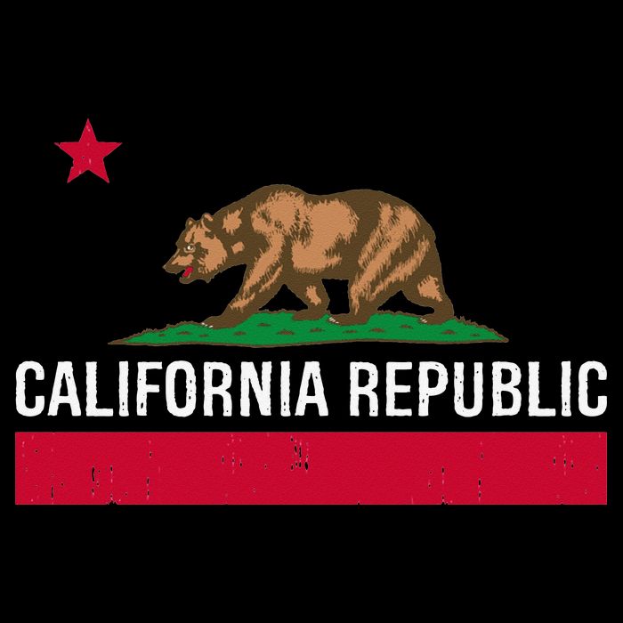 California Republic State Flag Womens Tank Top