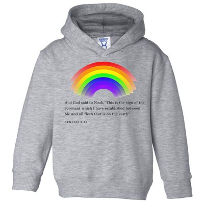 Christian Rainbow Scripture Toddler Hoodie
