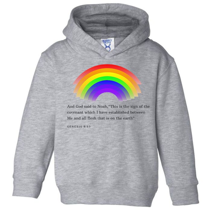 Christian Rainbow Scripture Toddler Hoodie