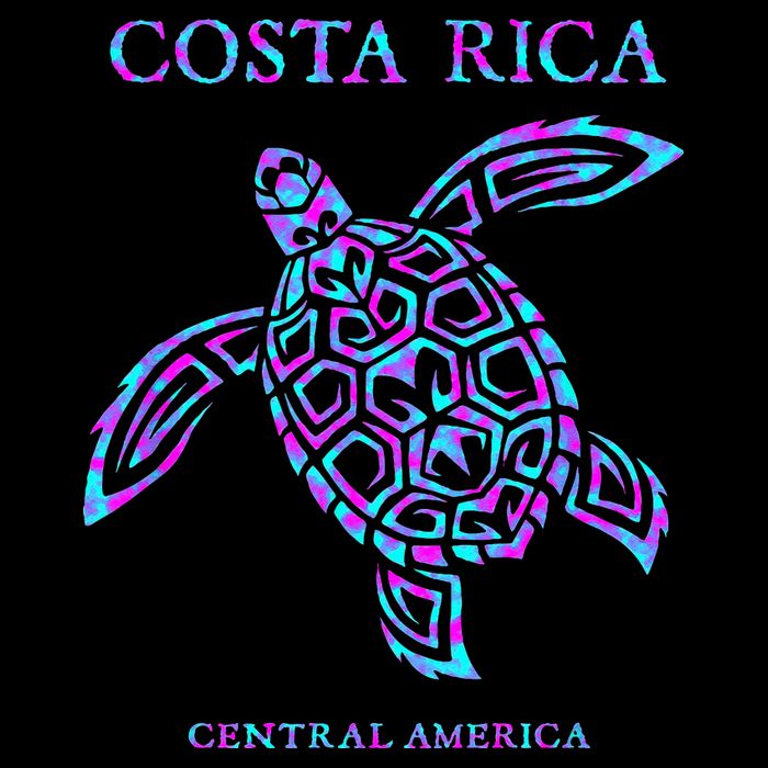 Costa Rica Sea Turtle Girls 16 in Basic Backpack