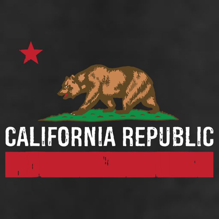 California Republic State Flag Adult Drive Performance Visor