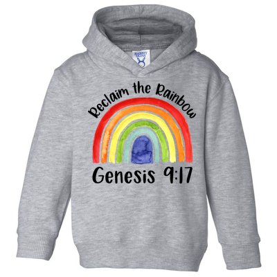 Christian Reclaim The Rainbow Jesus Lover Proverb Tee Toddler Hoodie
