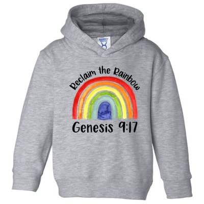 Christian Reclaim The Rainbow Jesus Lover Proverb Tee Toddler Hoodie