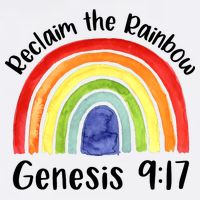 Christian Reclaim The Rainbow Jesus Lover Proverb Tee Adult Drive Performance Visor