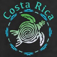 Costa Rica Tee Vintage Tribal Turtle Tumbler