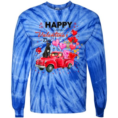 Cute Red Truck Cane Corso Valentines Day Costume Funny Gift Tie-Dye Long Sleeve Shirt