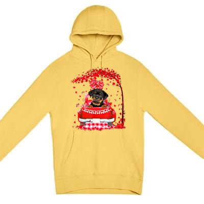 Cute Red Truck Rottweiler Valentines Day Costume Boy Girl Premium Pullover Hoodie