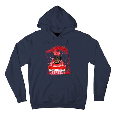 Cute Red Truck Rottweiler Valentines Day Costume Boy Girl Hoodie