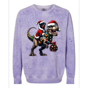 Christmas Rottweiler Trex Santa Hat Festive Dinosaur Dog Great Gift Colorblast Crewneck Sweatshirt